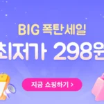 테무 빅세일